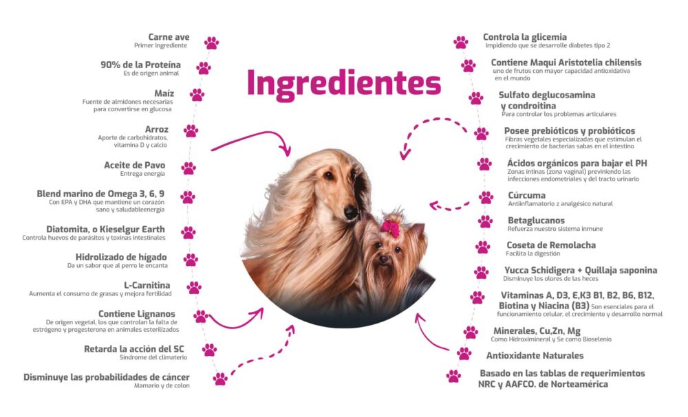 Lady-Ingredientes-1 Bokato Lady Super Premium